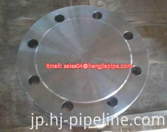 standard forged blind flange